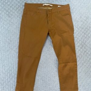 Zara Premium Denim Camel Gold Straight Leg Slim Fit Jeans